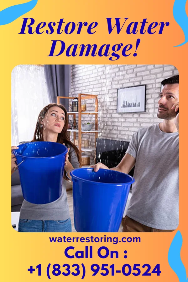 water restoration Stellar Water Cleanup Contractors Clinton