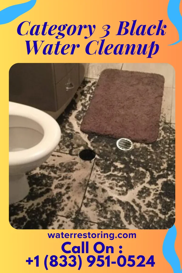 Category 3 Black Water Cleanup in Clinton, NE